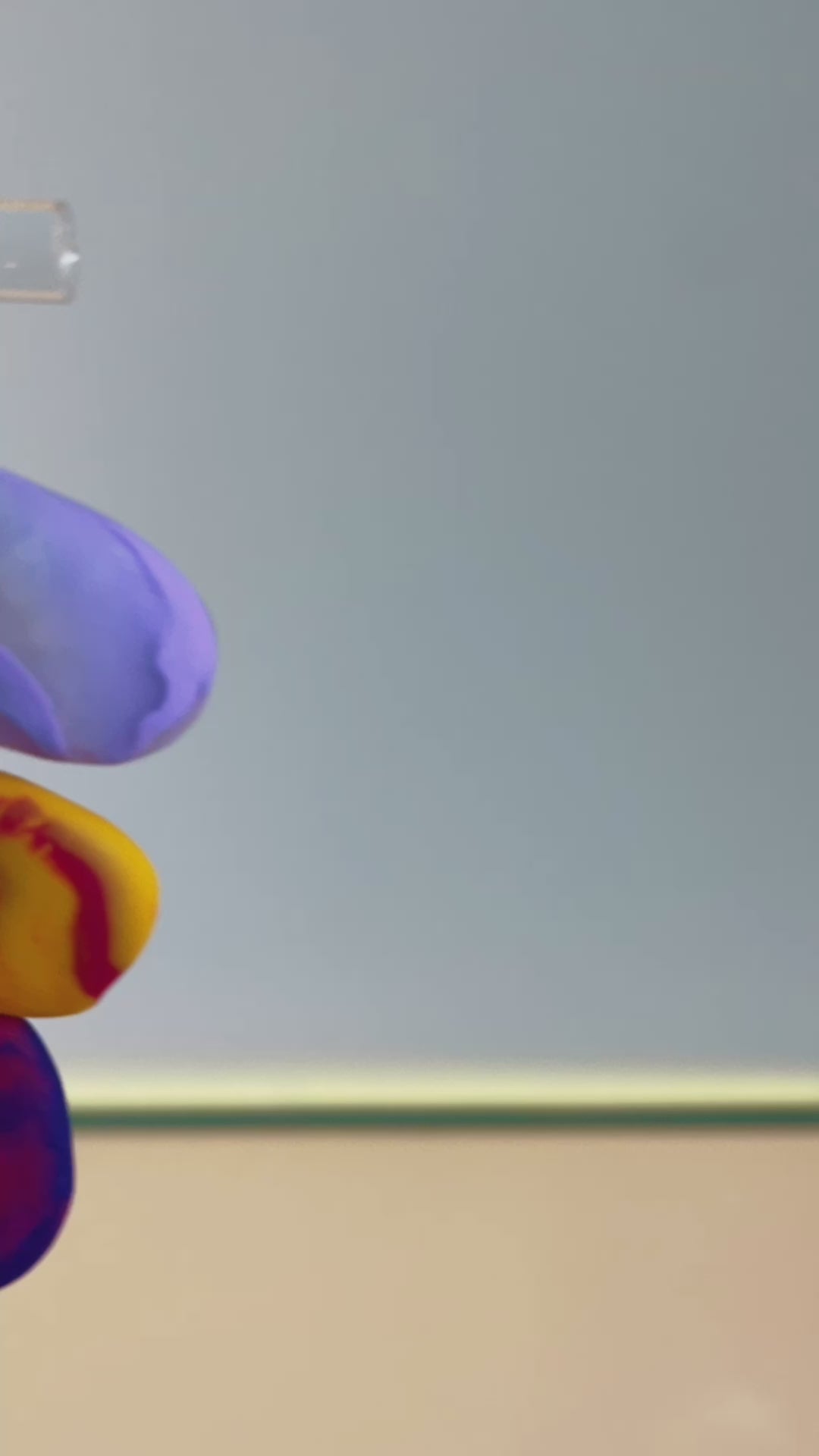Lava Lamps